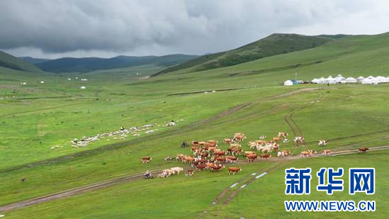 DJI_20250613142729_0697_D