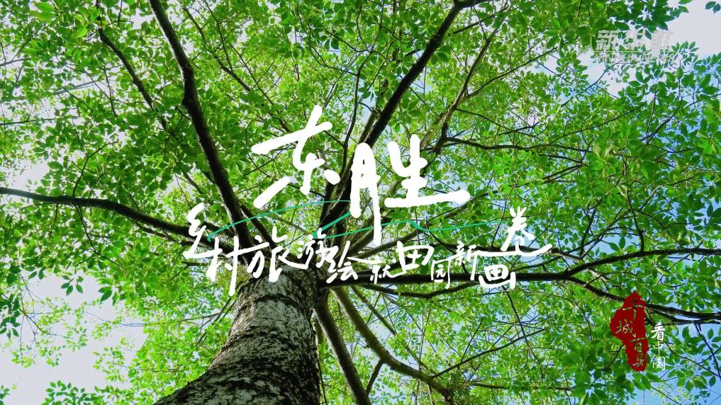 千城百县看中国｜内蒙古：乡村旅游绘就田园新画卷
